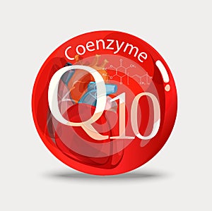 Coenzyme q10. Healthy food every day