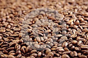 Cofee beans photo