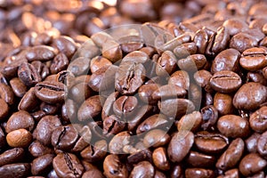 Cofee beans photo