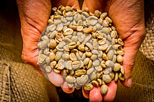 Cofee beans closeup