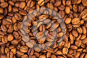 Cofee beans theme photo