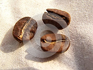 Coffe beans photo