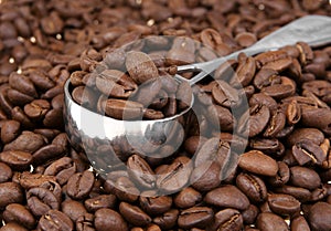 Coffe beans