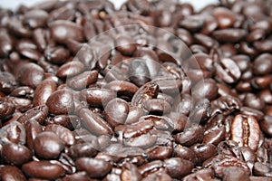 Coffe beans