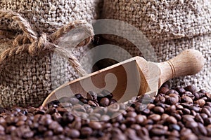 Coffe beans scoop and bags detail
