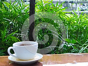 Coffe cup and green garden