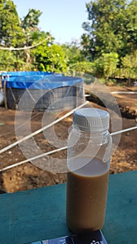 Coffe Time in The Garden