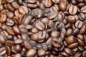 Coffebeans photo