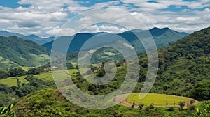 coffee area landscape in colombia