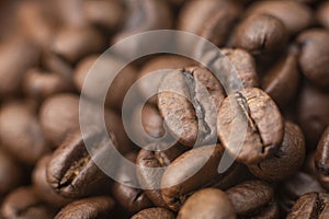 Coffee background. A coffee seed is a seed of the coffee plant, and is the source for coffee