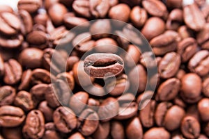 Coffee bean photo