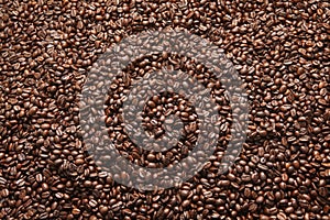 Coffee bean photo