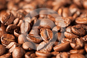 Coffee bean background