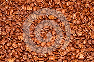 Coffee bean. Background of the granules. Grain of the coffee tree