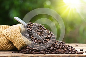 Coffee bean bag and coffee roasted over nature green background