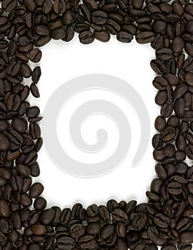 Coffee Bean Boarder