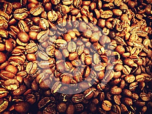 Coffee bean in Chaingmai