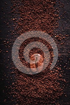 Coffee bean in a closeup macro on a dark background
