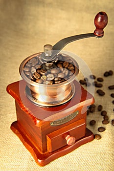 Coffee bean and coffee bean grinder