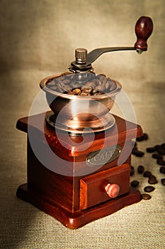 Coffee bean and coffee bean grinder