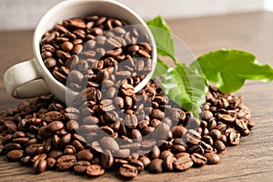 Coffee bean in cup with export text for import export trade commerce