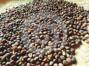 coffee bean dry process