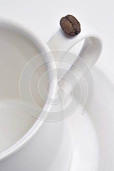 A coffee bean and an Empty coffee cup