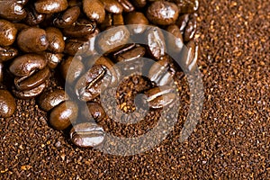 Coffee Bean and Grounds Background