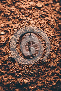 Coffee bean on heap of grinded coffee