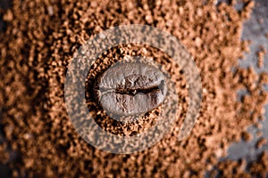 Coffee bean on heap of grinded coffee