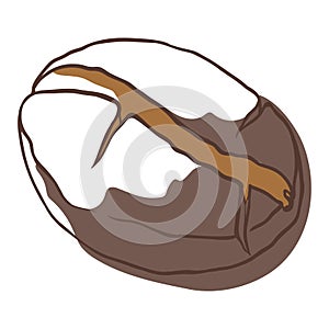 Coffee bean icon, natural ingredient for hot drink