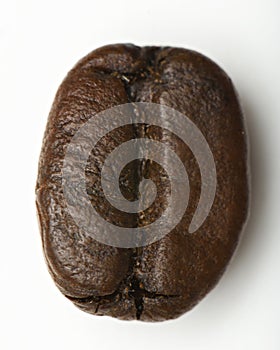 Coffee bean macro