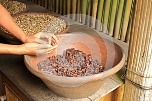 Coffee bean plantation in Bali, Indonesia