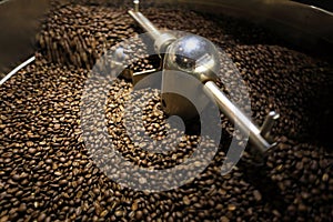 Coffee bean in roasting machine during cool down process for coffee shop and relating industry