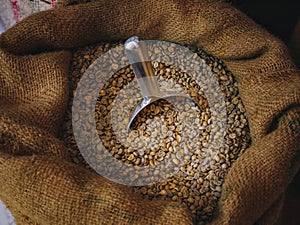 Coffee bean in Sack bag with scoop Coffee roaster