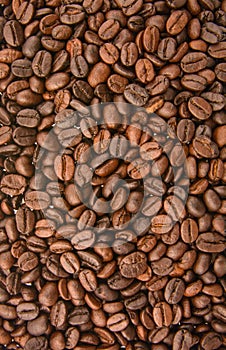 Káva fazuľa 