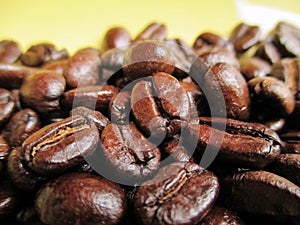 coffee bean on yellow background