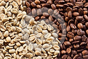 Coffee Beans 07