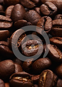 Coffee beans