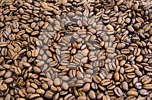 Coffee Beans