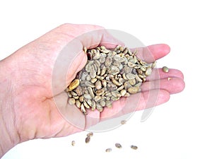 Coffee beans photo