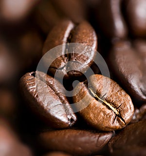 Coffee beans