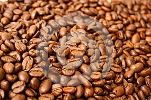 Coffee beans photo