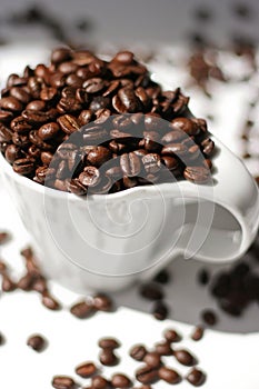 Coffee beans photo