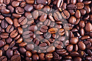 Granos de café 