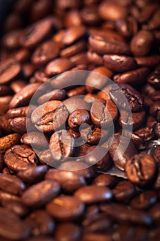 Coffee Beans