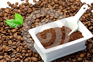 coffee beans photo