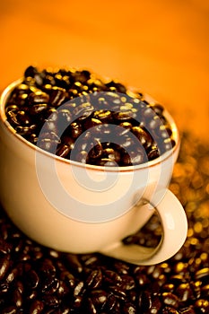 Coffee Beans