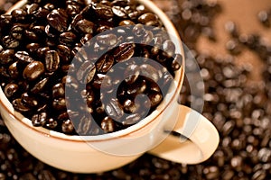 Coffee Beans