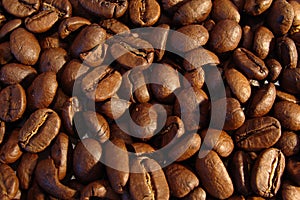 Coffee Beans photo